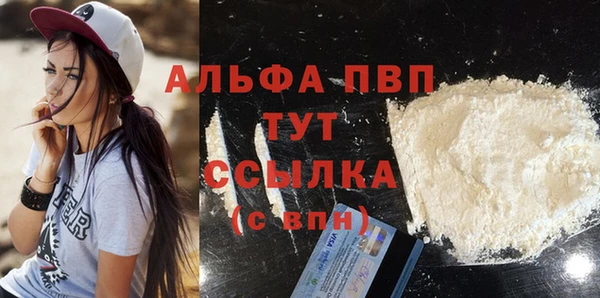 ECSTASY Белокуриха